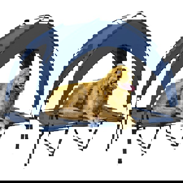 D04-272V03DB
