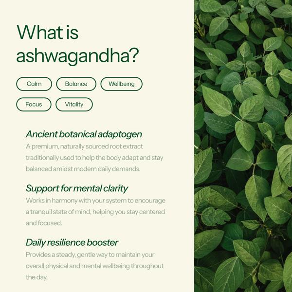Yumi Nutrition Wellness Ashwagandha