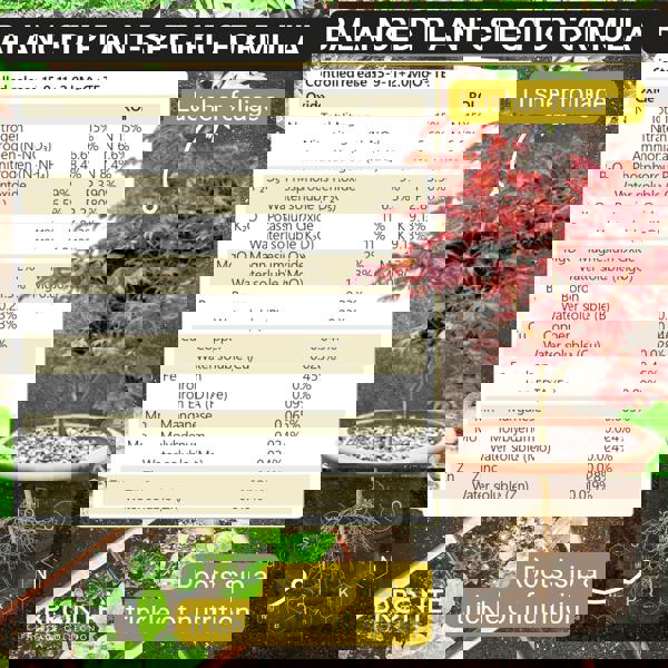 Bronte Heritage Acer Fertiliser – Controlled-release granules for Japanese Maples in borders, pots & containers, 120g