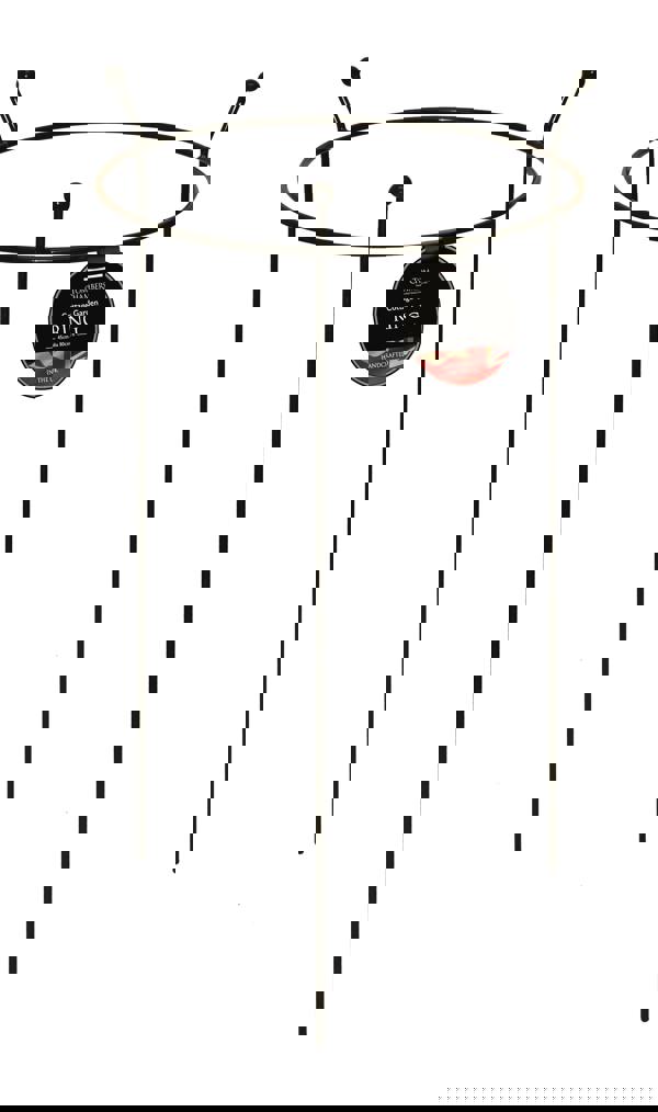 Samuel Alexander 2 Pack of Tom Chambers Cottage Heavy Duty Black Metal Steel Herbaceous Garden Plant Support Ring Large 80cm x 45cm