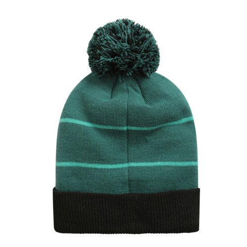 Animal Dylan Pom Pom Recycled Skiing Beanie - Green