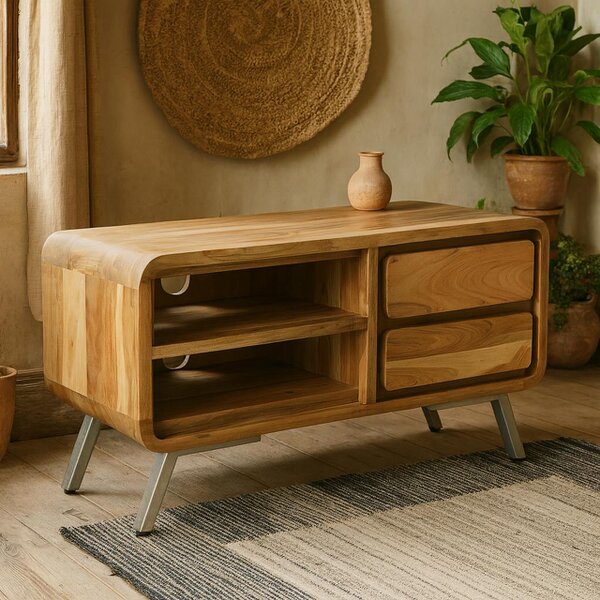Wyld Haus Los Angeles Reclaimed Wood and Metal Medium TV Cabinet 1 Shelves 2 Drawers