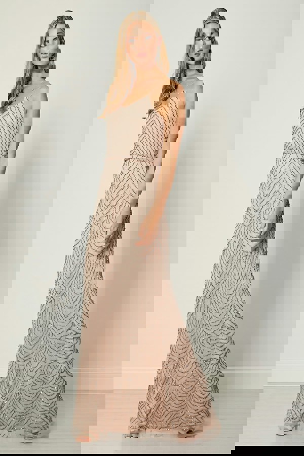 Cami Sequin Stripe Embellished Maxi Dress in Cameo Rose - ANGELEYE