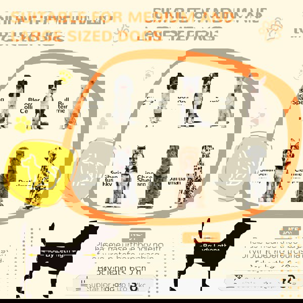 D02-191V00BK