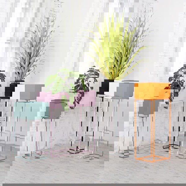 MI Indoor Plant Stand Set-Weilai Concept-Weilai Concept