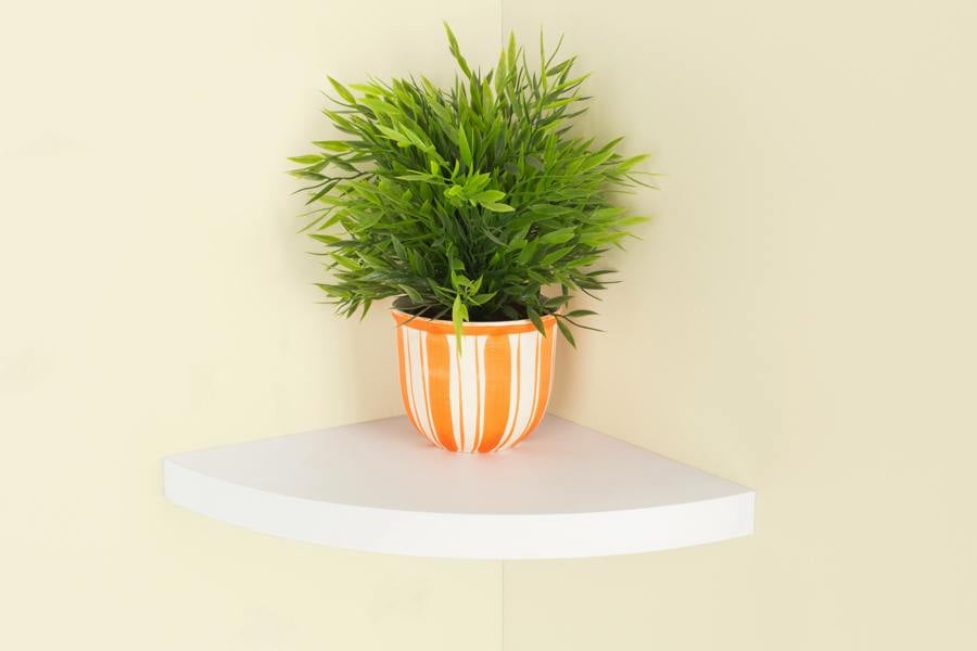 Core Products Hudson Wide Shelf Kit, Chunky Design, Foiled Finish