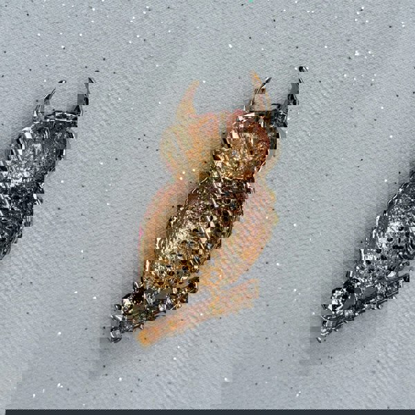 Gold owl brooch, textured metal design, perched on branch detail, secure pin fastening, vintage inspired animal jewellery, statement accessory, elegant gift for her
