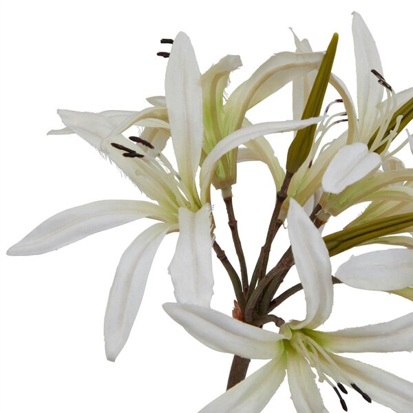 Wyld Haus Set of 3 Artificial Flowers White Nerine Lily Stems