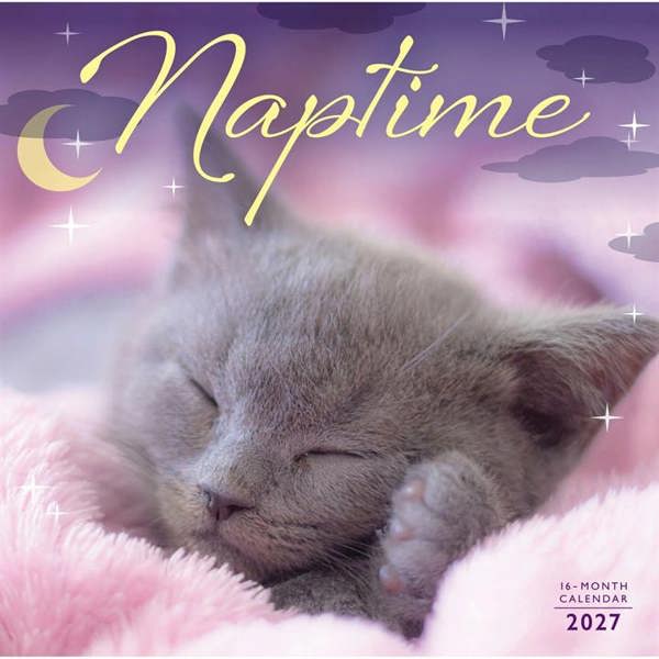 Naptime Cats Calendar 2027, Wall Calendars, Month To View, Cats, Gift