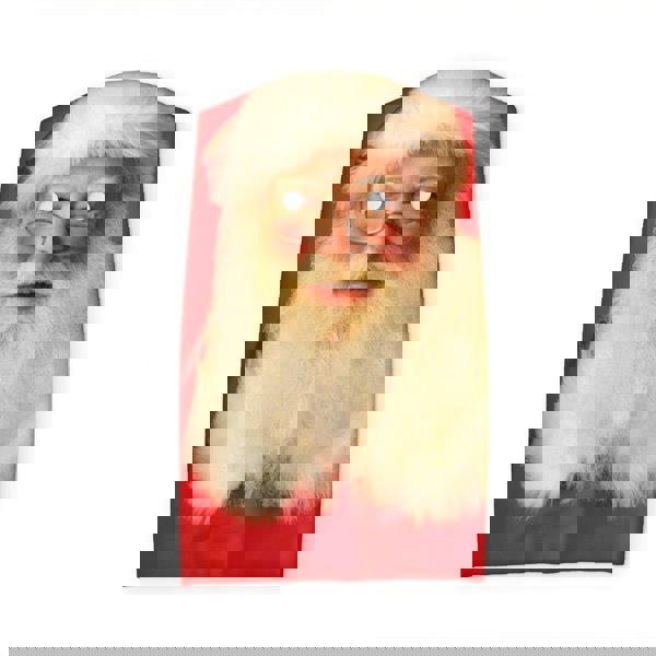 Faceskinz - Fabric Mask - Halloween Ideas