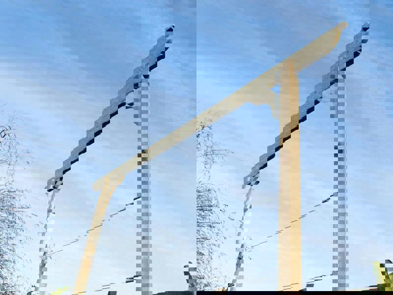 Arbor Garden Solutions Screen Pergola, Plant Climbing Arbour - Longhorn Sculpted Brace