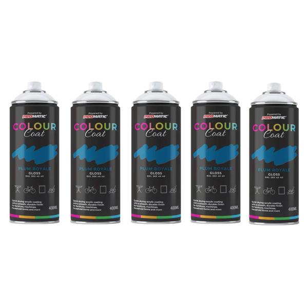 Colour Coat 5X Plum Royale RAL 260 40 40 Gloss Spray Paint 400ml