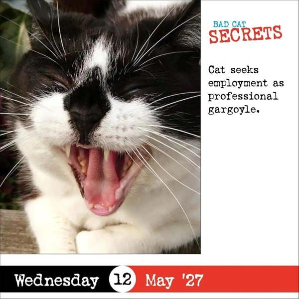 Bad Cat Desk Calendar 2027, Desk Calendars, Day To View, Cats, Gift