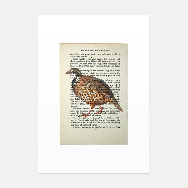 Hands & Hearts Partridge vintage book page art print