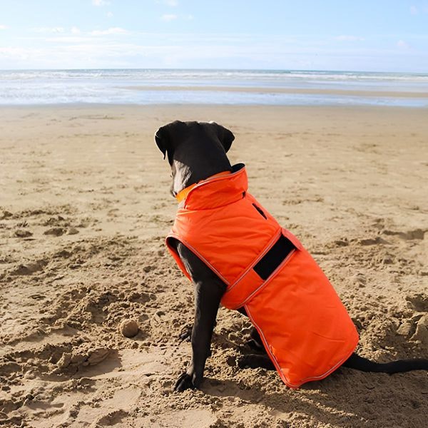 HugglePets Arctic Armour Dog Coat - Orange