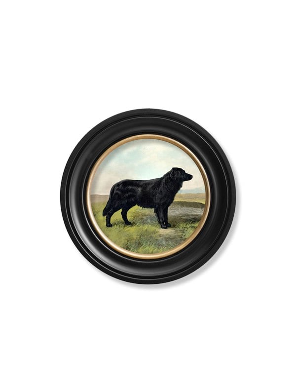 Exceptional Art c.1881 Working Dogs - Round Frame