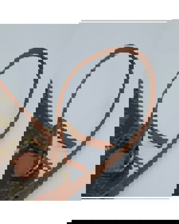 205662081.jpg