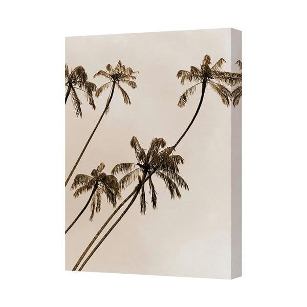 Benjamin Tate Design Palm Tree Canvas Wall Art Print For Beach House Decor 8759
