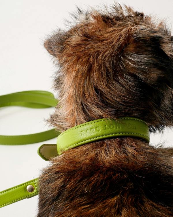 Barc London Wasabi Green Dog Collar