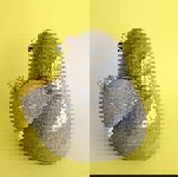 Percy With The Chips – Handmade Pigeon Ornament