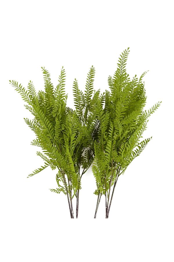 Dyzi Pack Of 6 Himalayan Maidenhair Fern Stems