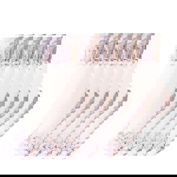 Anysox Anyfootwear 5 Pairs Size 5-9 Fashion Socks Summer Lace Embroidery Breathable Silk Transparent Glass Crystal Stretch for Women White