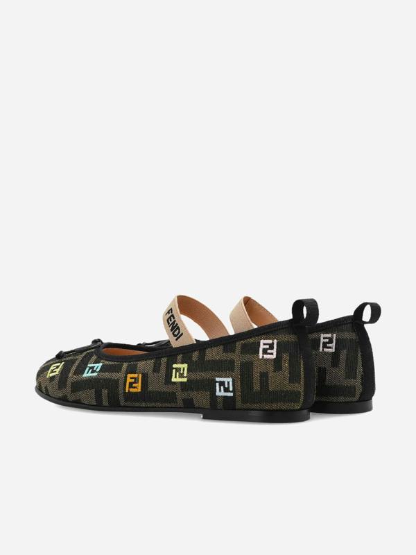 FENS6072_BROWN_3