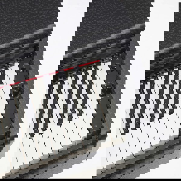 Yamaha YDP105 Digital Piano#Colour_Black