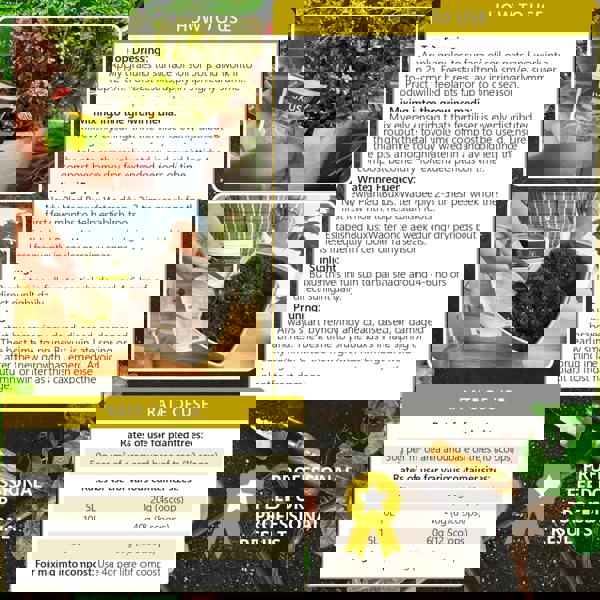 Bronte Heritage Buxus Feed – Controlled-release granules for box hedges & topiary in pots, containers, or ground. 120g for lush, green growth