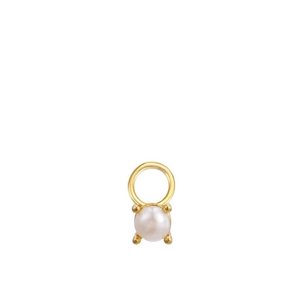 Gold Trip June Birthstone Earring Charm