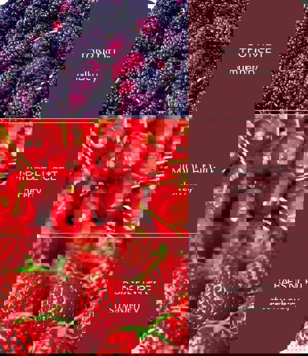 Heart & Home Simply Mulberry - 2 Wick Ellipse Candle