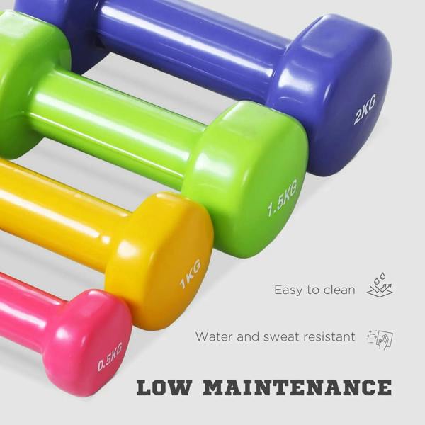Close-up of multi-color dumbbells with printed weights, including blue and green pairs
