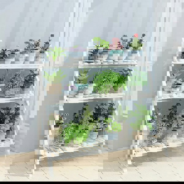 3-Tier Foldable Plant Stand Wooden Ladder Shelf Natural/White Living and Home White