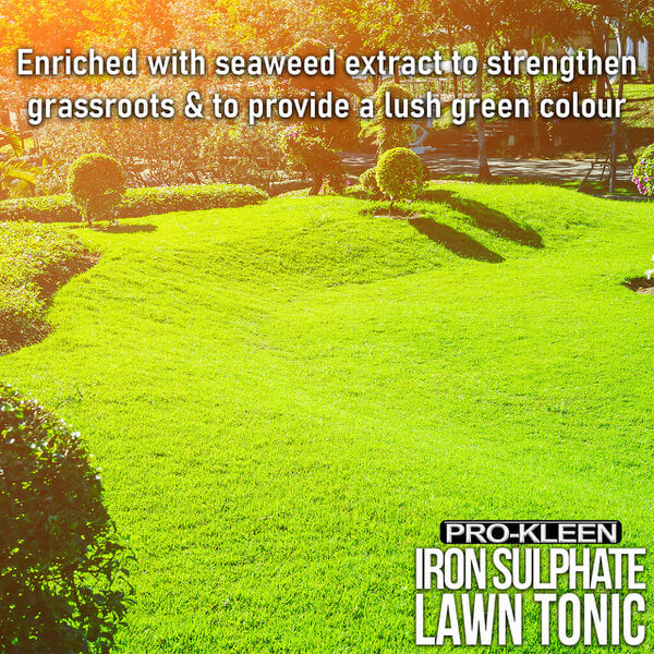 ProKleen Pro-Kleen 10L Pump Sprayer with Pro-Kleen Liquid Iron Sulphate 5L Grass Greener & Turf Hardener