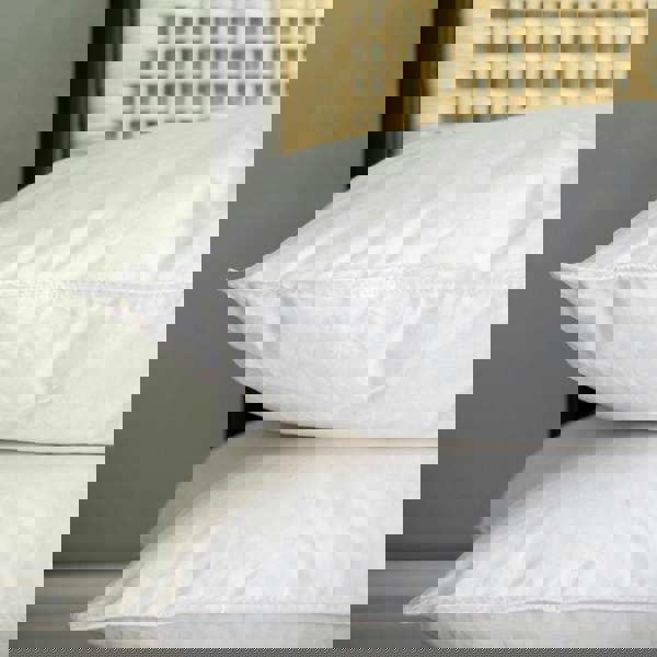 Soak&Sleep Duck Feather & Down Pillows