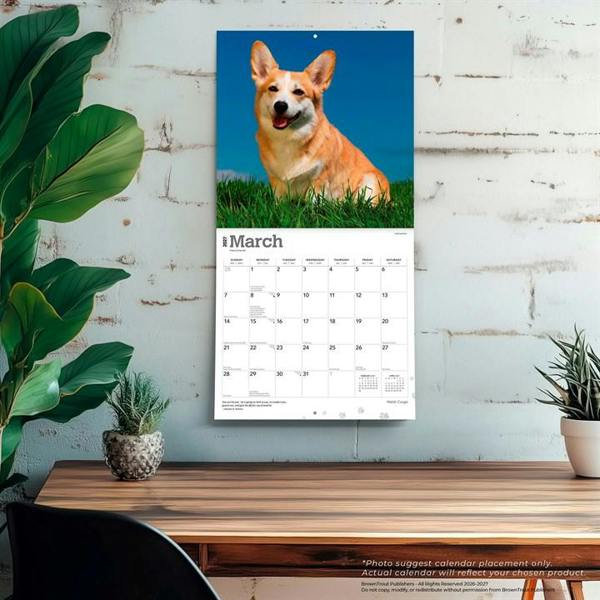 Welsh Corgis Calendar 2027, Wall Calendars, Month To View, Dogs, Gift