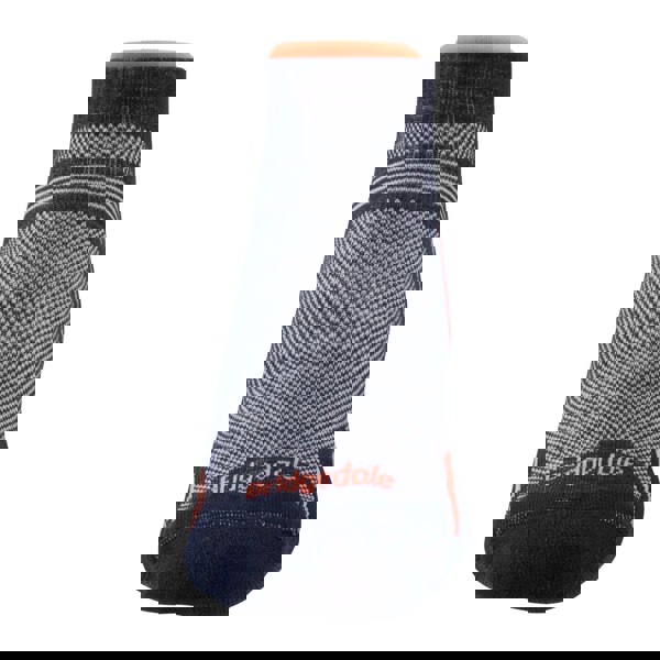 t4option1_1
