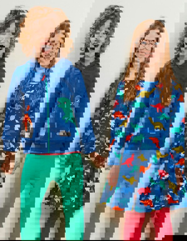 Organic Rainbow Dinosaur Print Skater Dress - Toby Tiger UK Retail