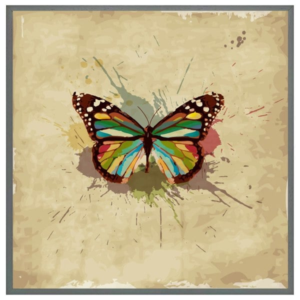 Benjamin Tate Design Butterfly & paint splats (Picture Frame)