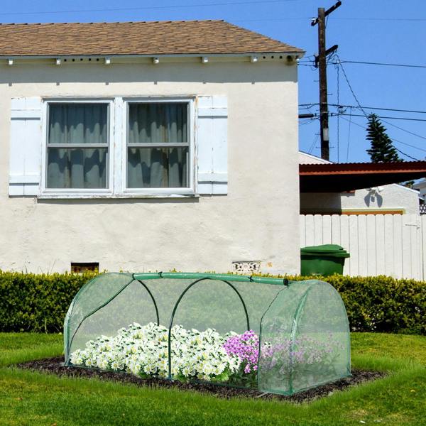Mini Greenhouse