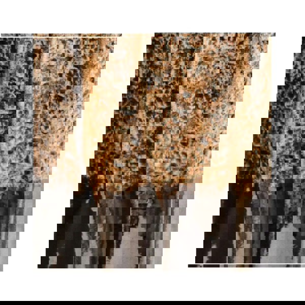 #color_dark