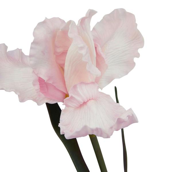 Wyld Haus Set of 3 Artificial Flowers Pale Pink Fringed Iris Stems