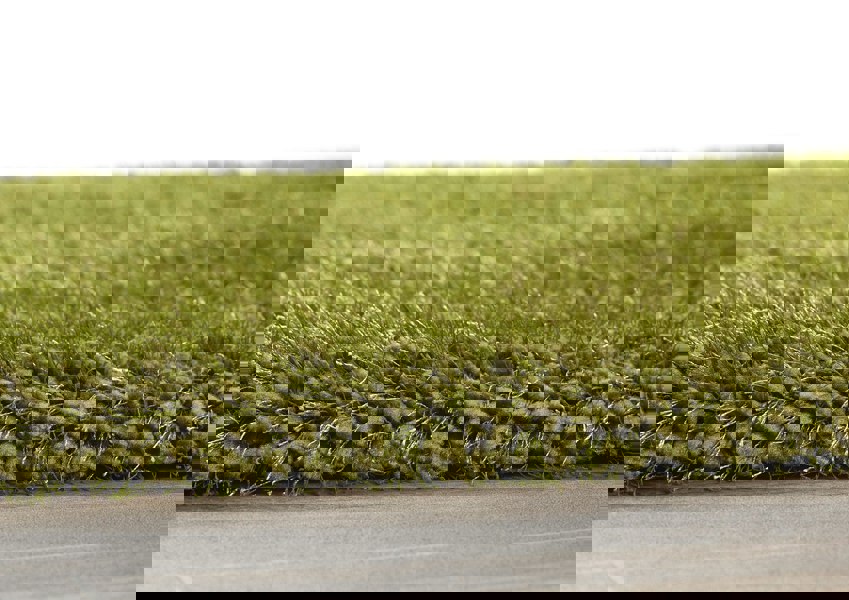 Origins Chicago Olive