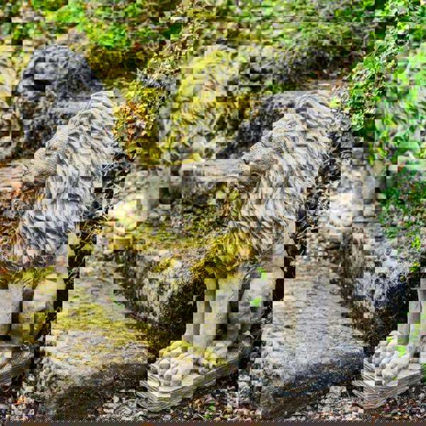 Pair of Sitting Lions stone garden statue