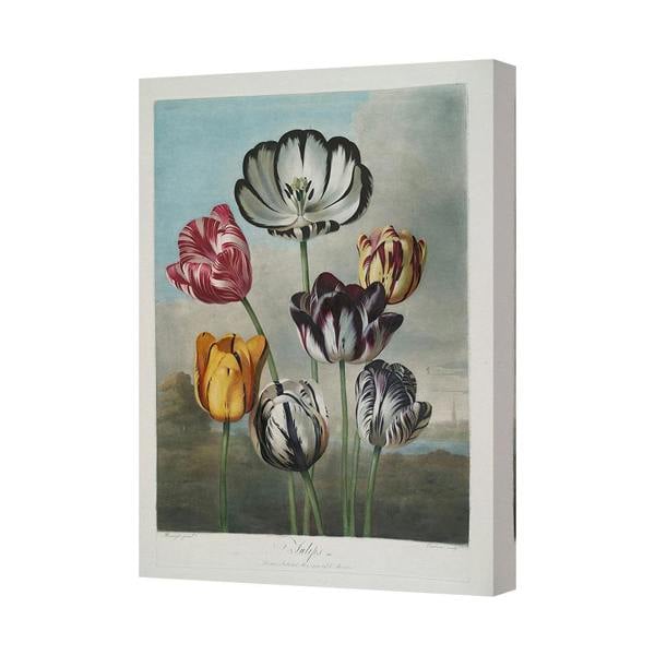 Benjamin Tate Design Canvas Wall Art Tulips Print Floral Artwork For Living Room Decor