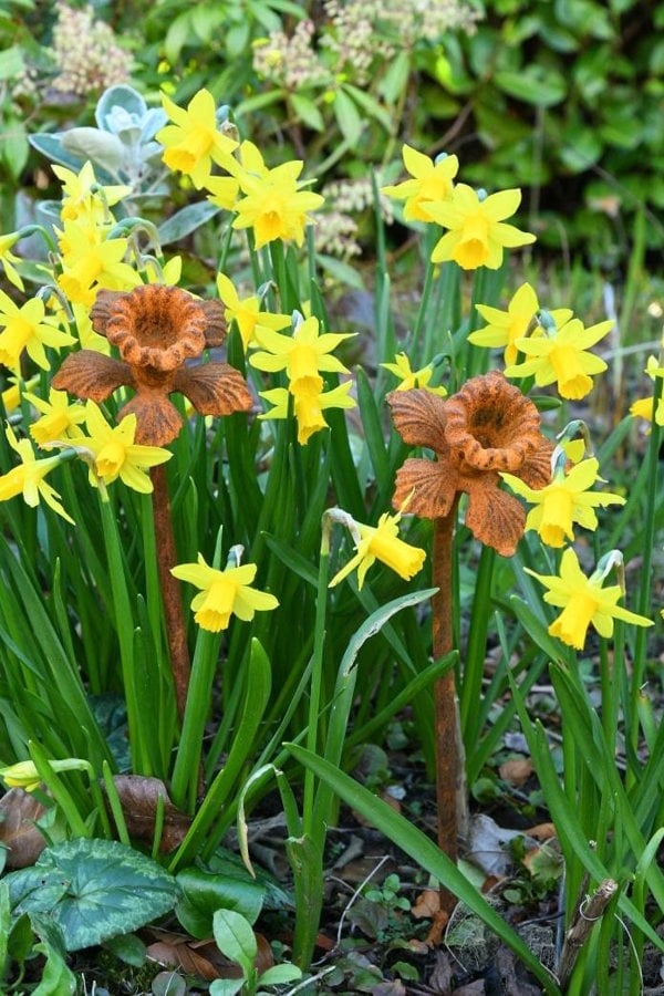 Rusty Metal Daffodil Flower