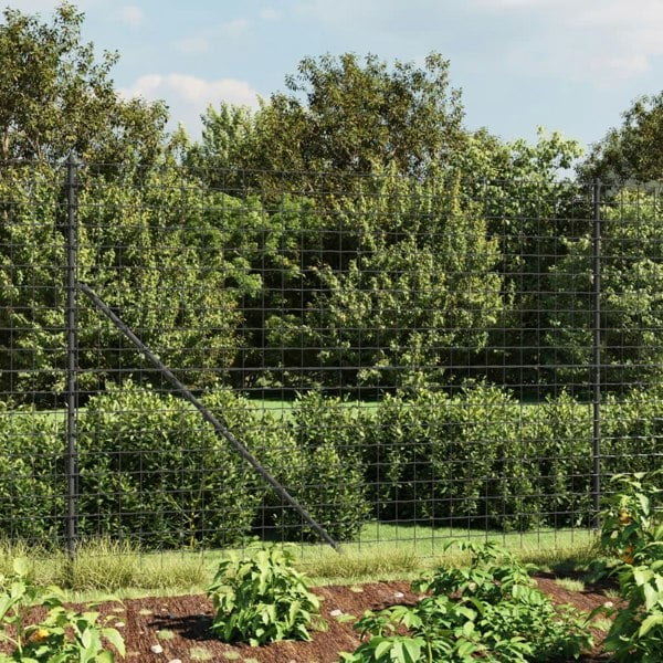 Berkfield Wire Mesh Fence Anthracite 2.2x10 m Galvanised Steel