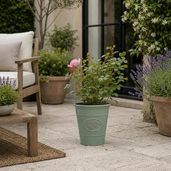 3L Pink Patio Rose Outdoor Garden Rose in Decorative Pot