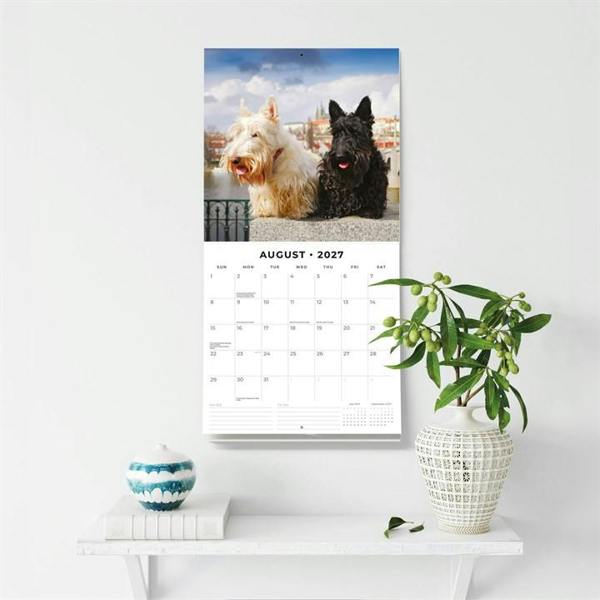 Scottish Terriers Calendar 2027, Wall Calendars, Month To View, Dogs, Gift
