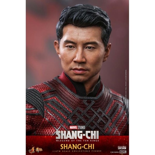 Hot Toys Shang-Chi and the Legend of the Ten Rings Shang-Chi 1:6 Scale Hot Toys 909232